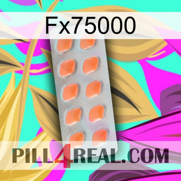 Fx75000 26.jpg
